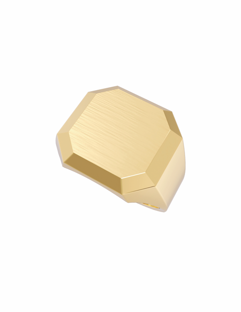 Anillo Sello Octagonal en Oro 10k y 14k